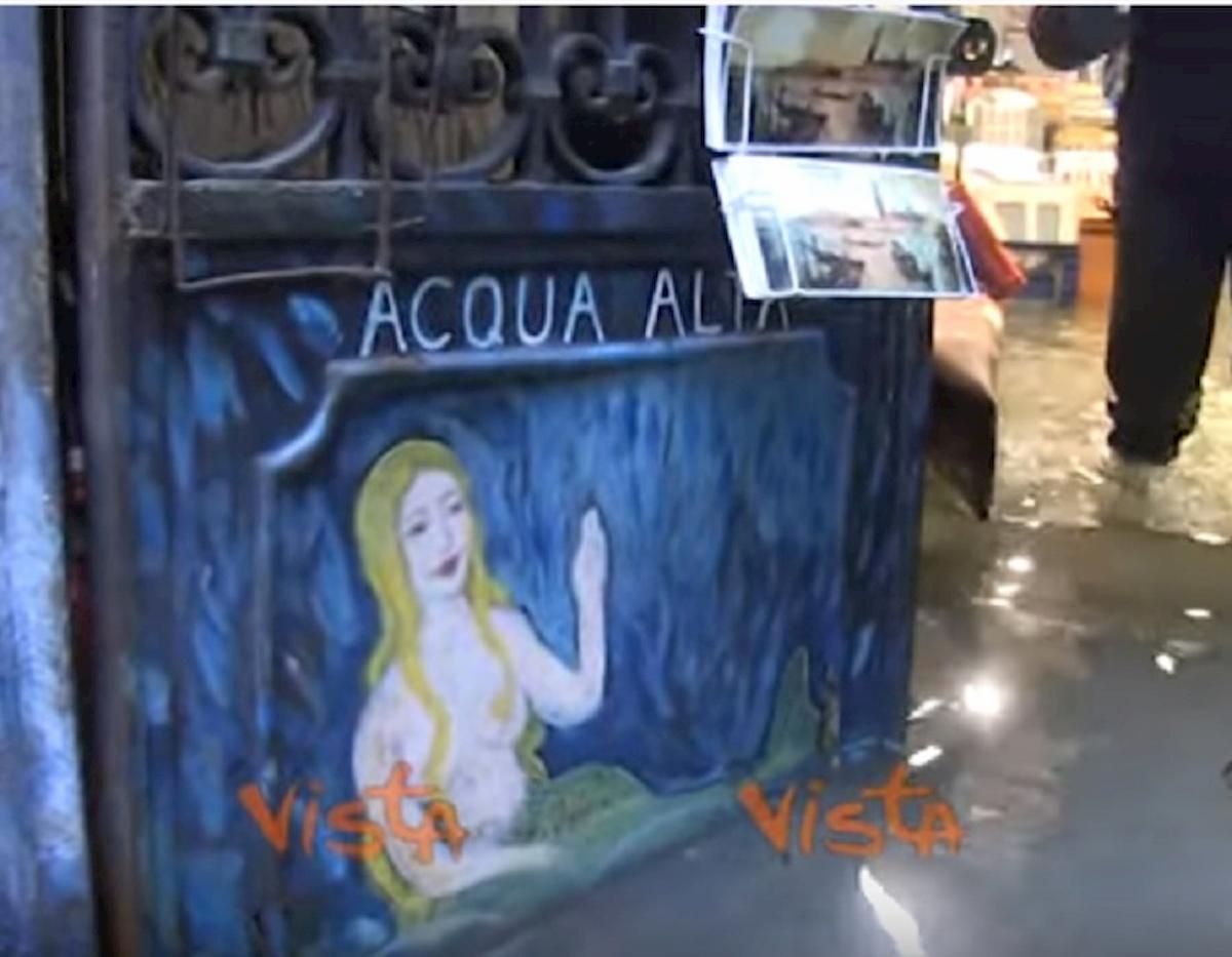 libreria acqua alta venezia