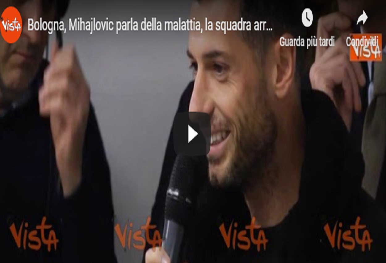 Mihajlovic, Vista