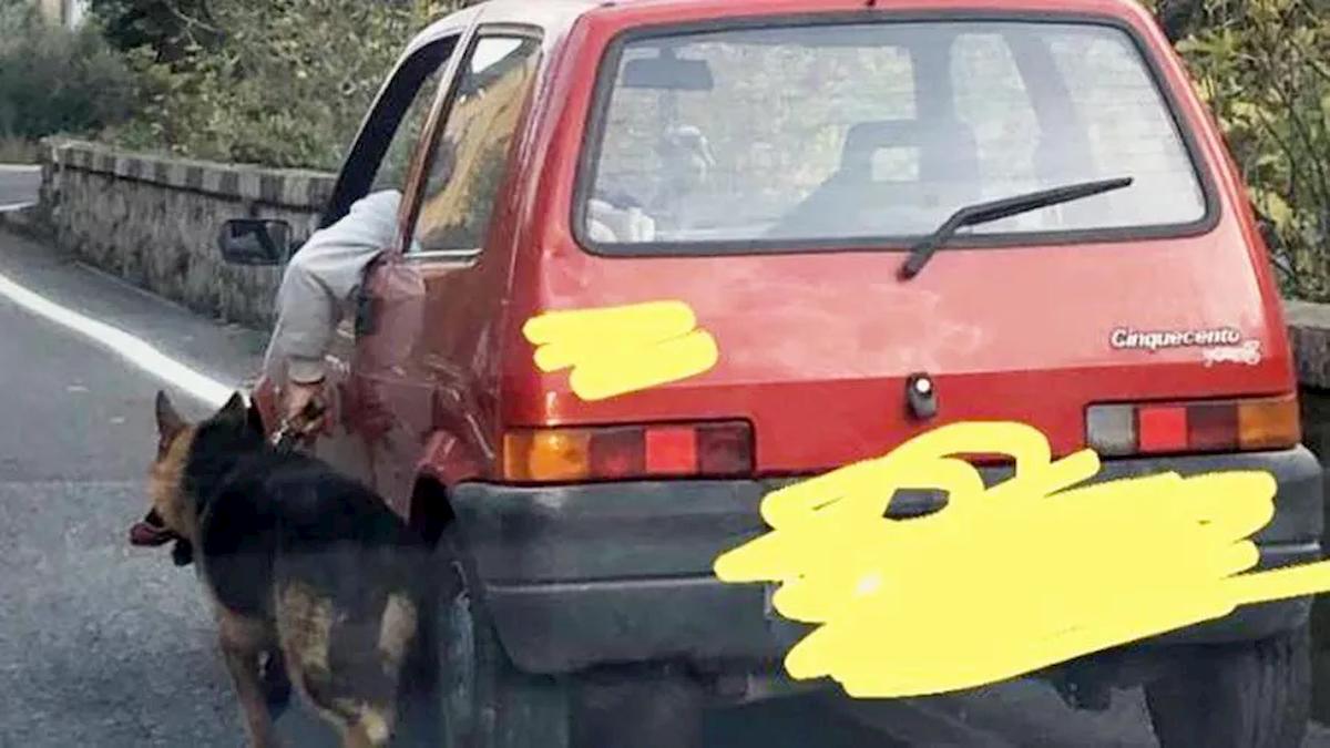 Arpaia, porta a spasso il cane al guinzaglio mentre guida sulla statale. La FOTO che indigna