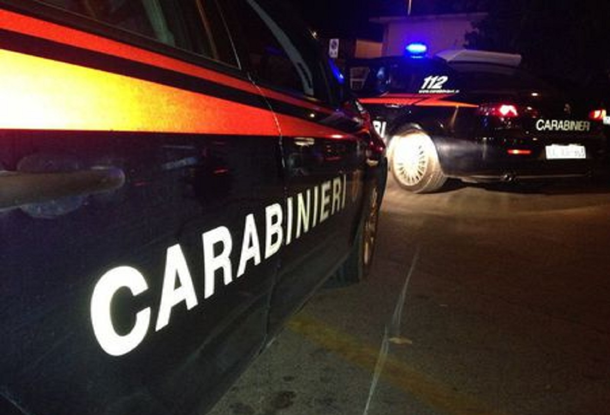 Carabinieri, Ansa