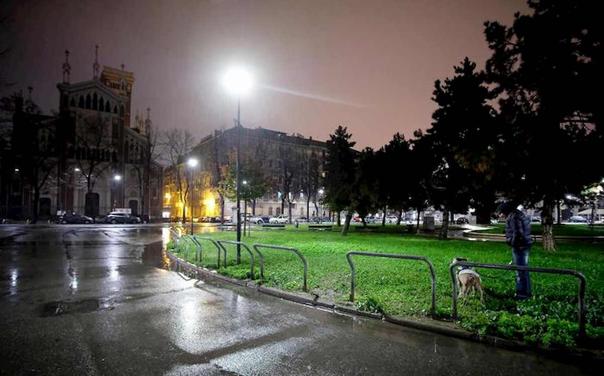 Torino, feto di tre mesi in provetta trovato in un'aiuola: era immerso in uno strano liquido