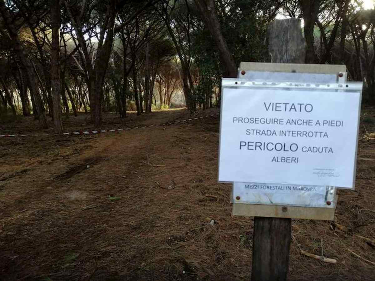 duna feniglia, cartelli dei forestali