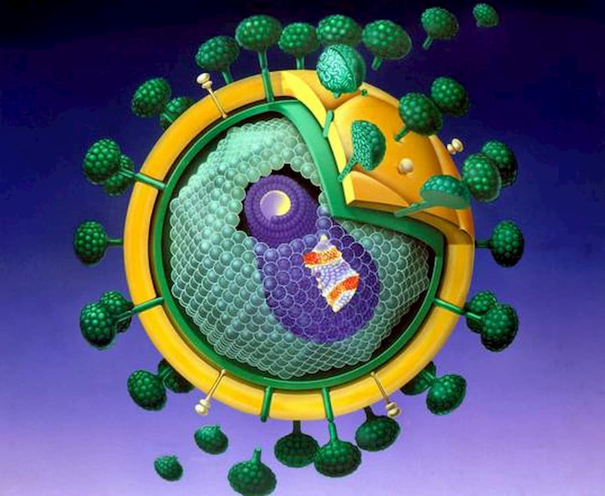 Scoperto nuovo ceppo del virus Hiv