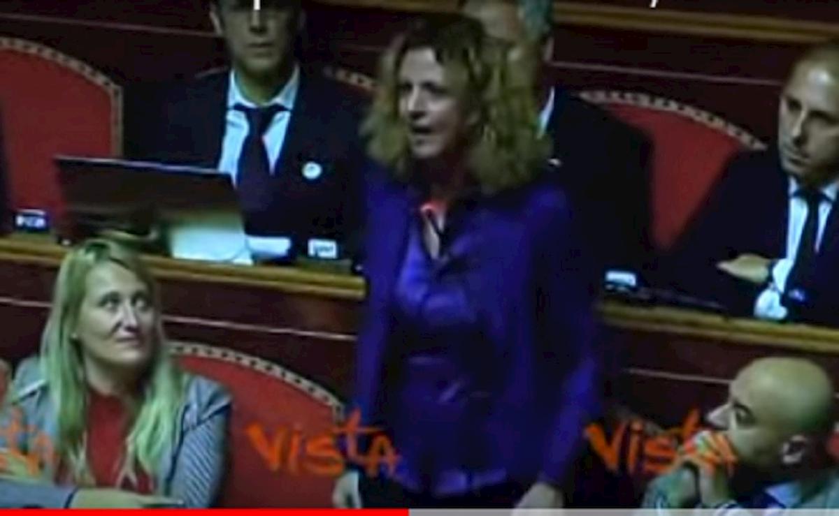 Lezzi contro Salvini al Senato