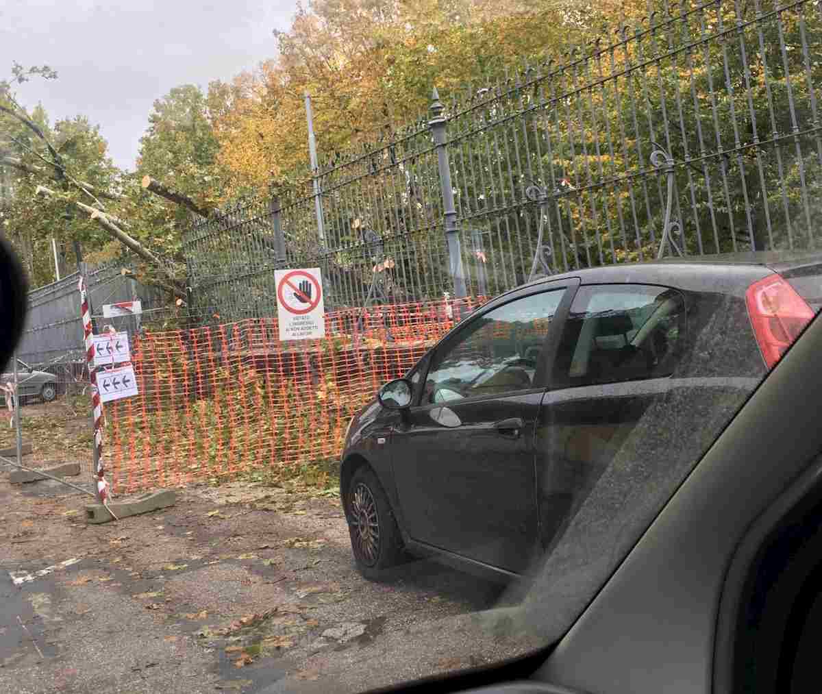 Maltempo Roma: alberi caduti, strade allagate e Tevere sorvegliato