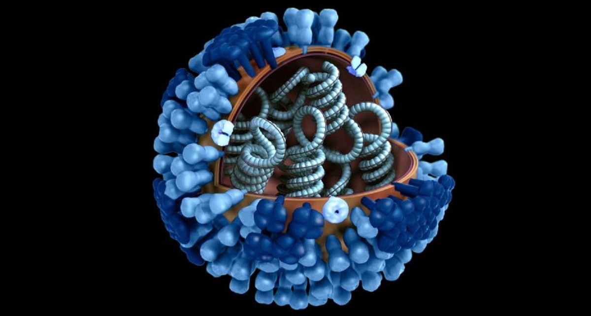 Morbillo, infezione cancella memoria sistema immunitario