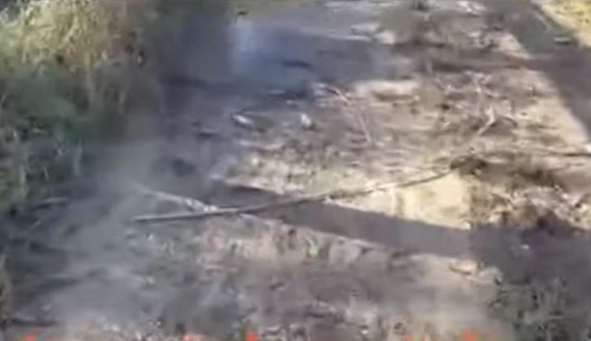 pesci rossi campagne salento