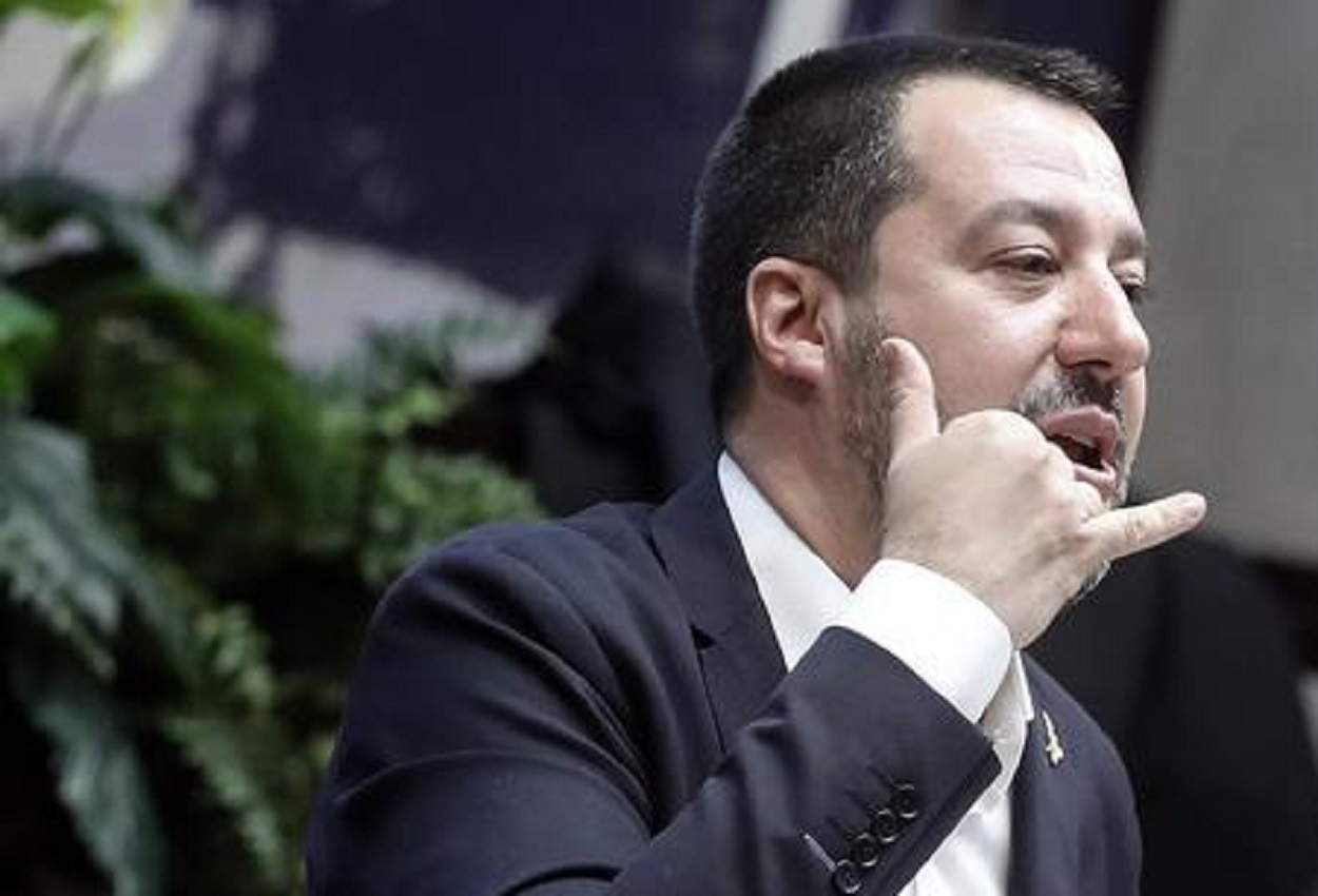 Salvini, Ansa