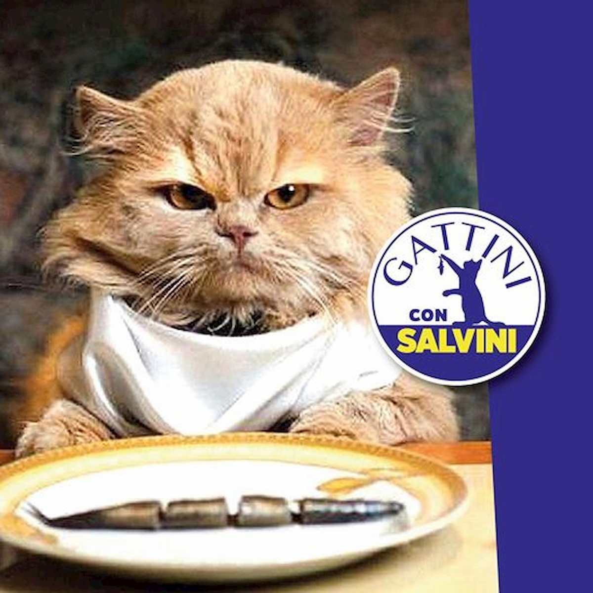 salvini gattini facebook