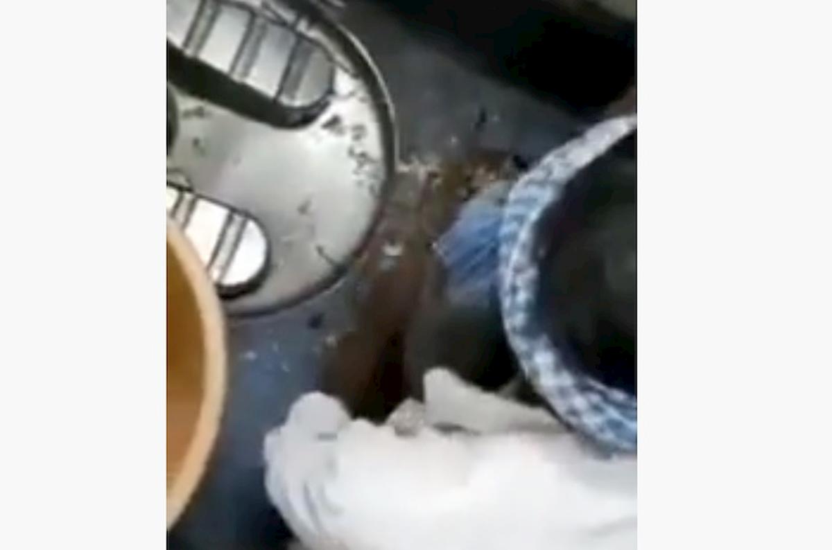 pesce latrina treno india