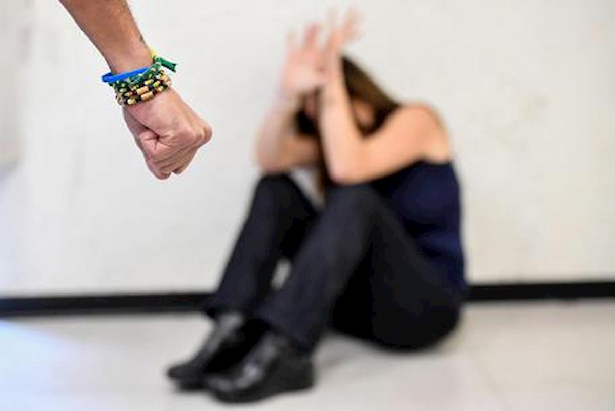 violenza sulle donne ansa