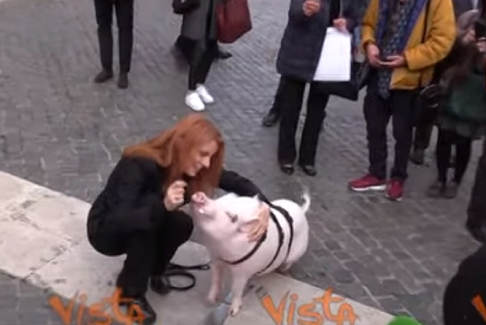 Michela Brambilla con un maiale al guinzaglio davanti alla Camera VIDEO