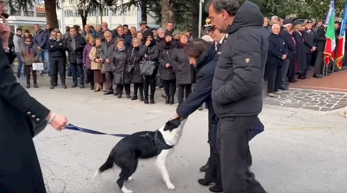 Castel di Sangro, carabiniere morto sulla Majella: al funerale anche il suo inseparabile cane