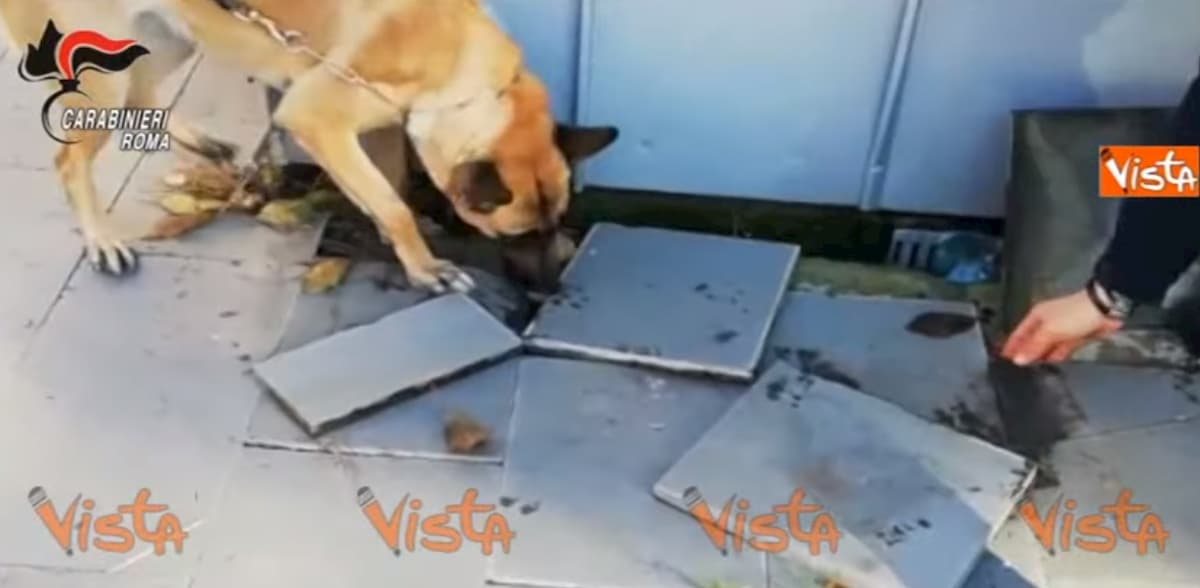 Roma, blitz antidroga a San Basilio: arrestati due pusher VIDEO