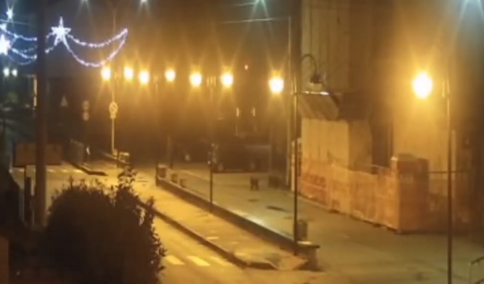 Civita d'Antino (L'Aquila), due orsetti escono dalla stazione e passano accanto a due persone