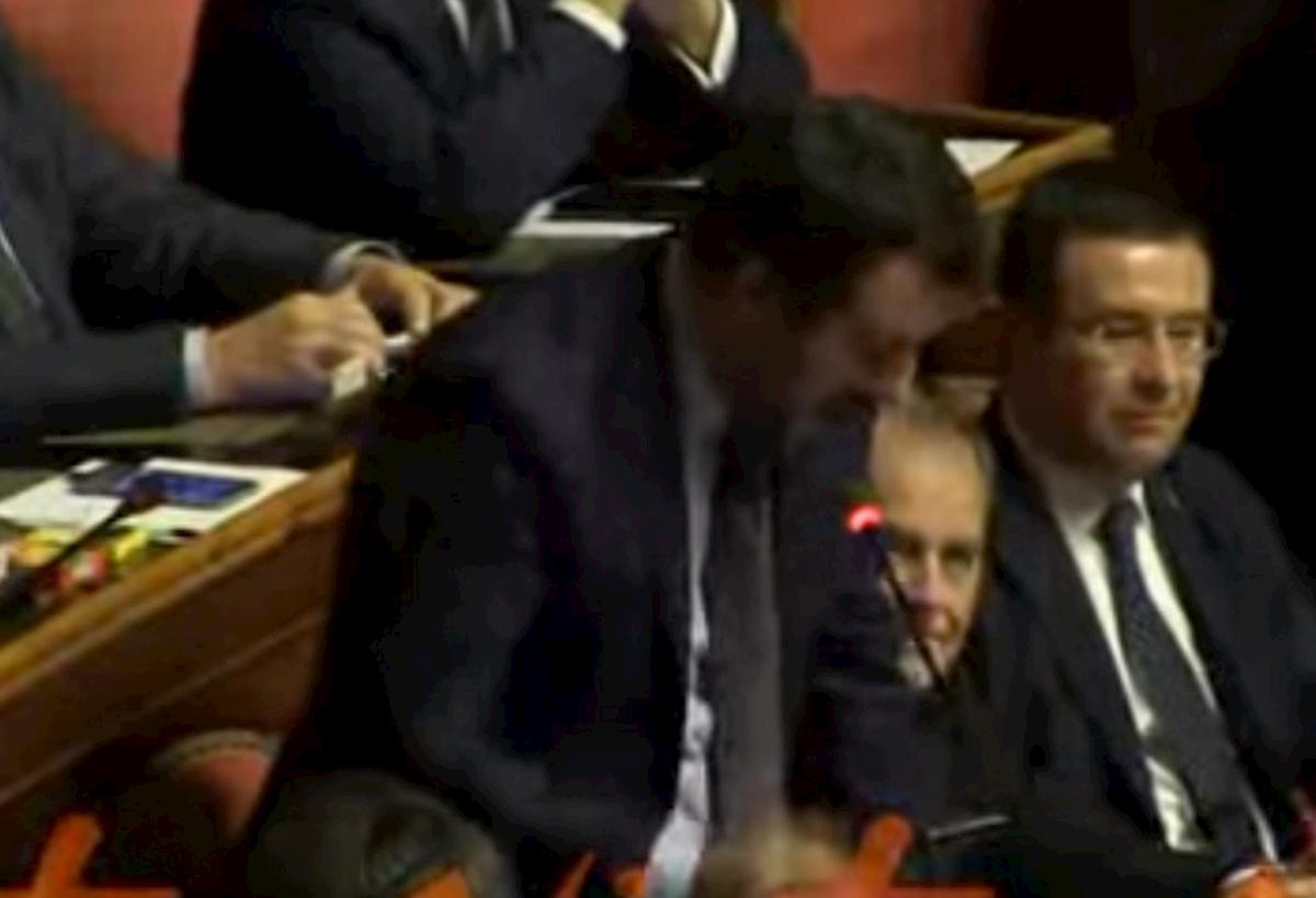 salvini legge elenco docenti mes