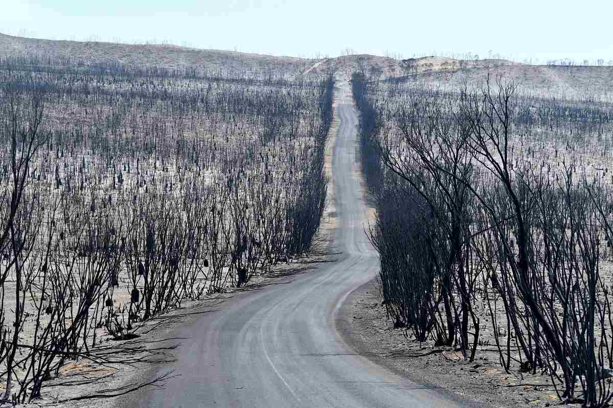 australia incendi strada