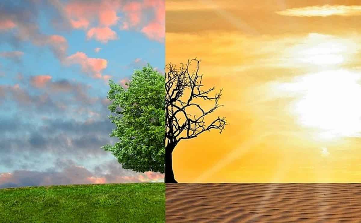 Cambiamento climatico. Clima, la Ue ci mette mille miliardi. Cambia il colore dei soldi