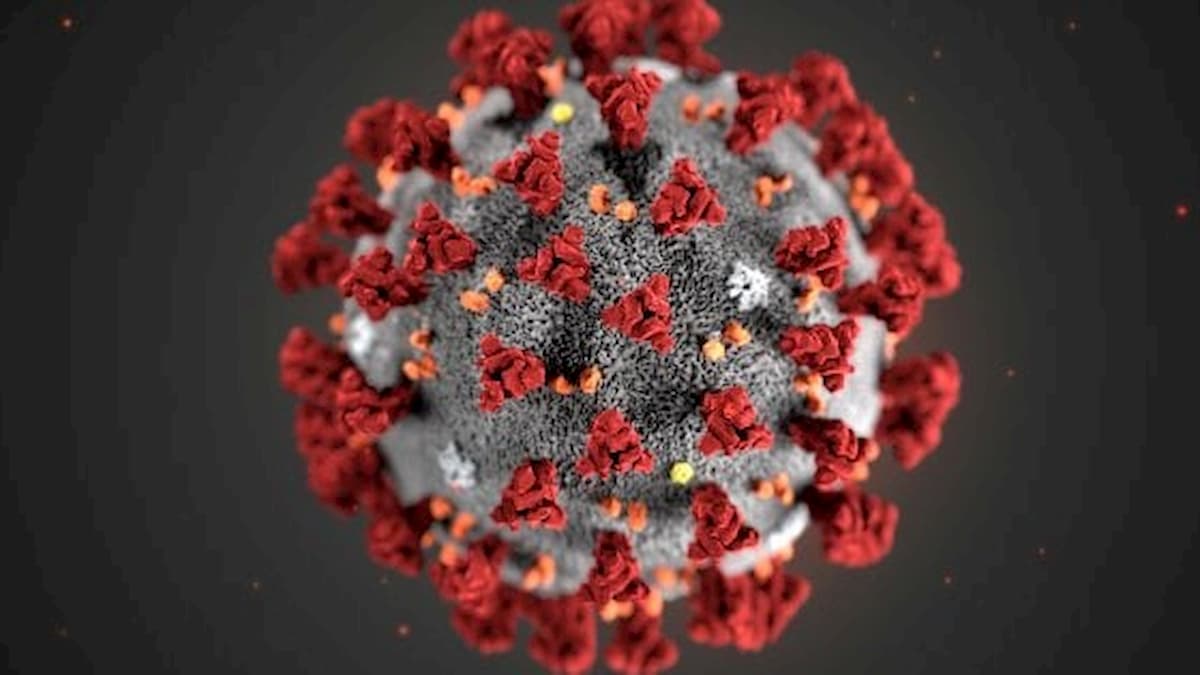Coronavirus, ecco la foto del virus che ha ucciso oltre 200 persone