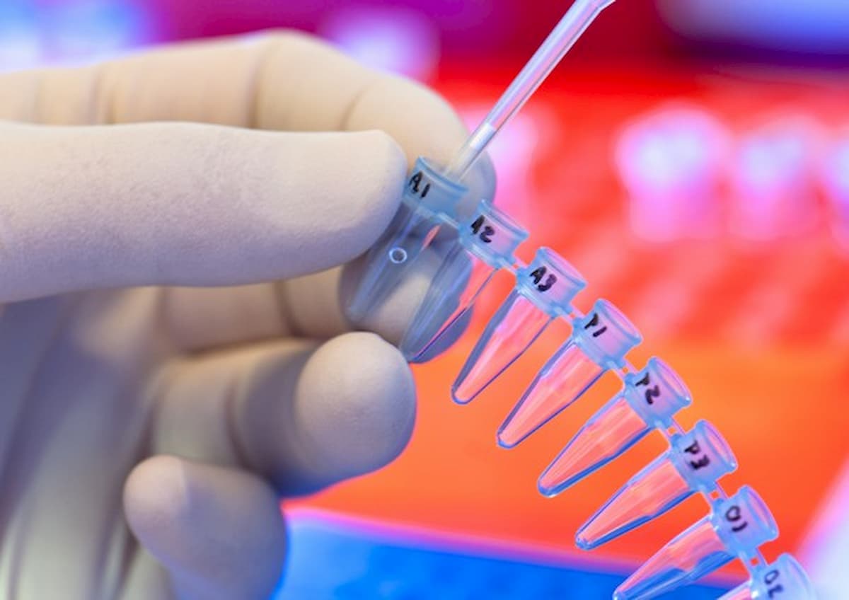 Cancro, scoperto il Dna a fiore: proteggerlo può prevenire i tumori