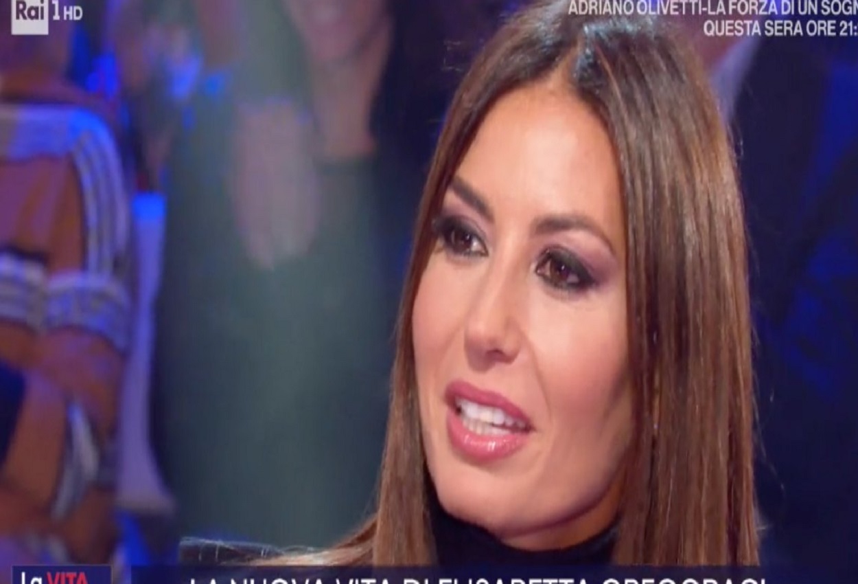 Elisabetta Gregoraci, Ansa