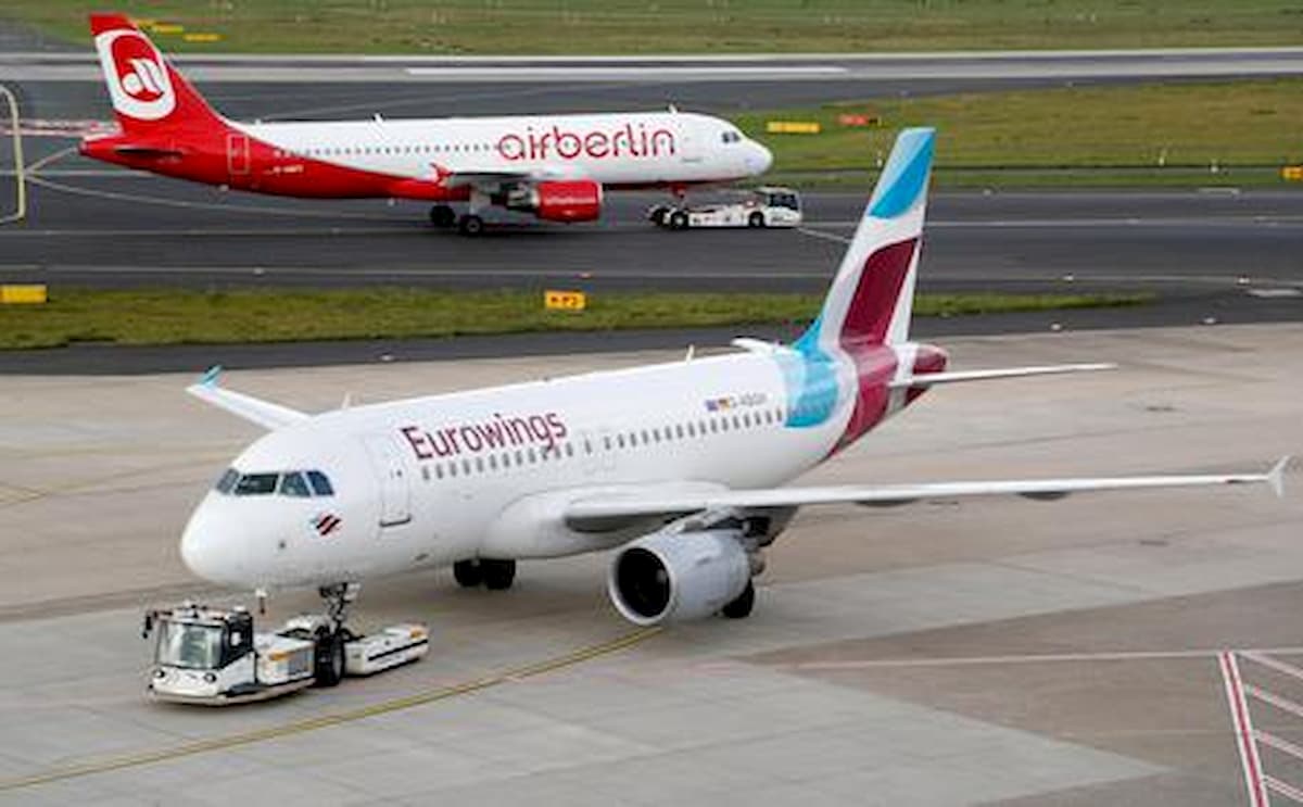 Il cane pesa troppo: Eurowings nega l'imbarco in aereo