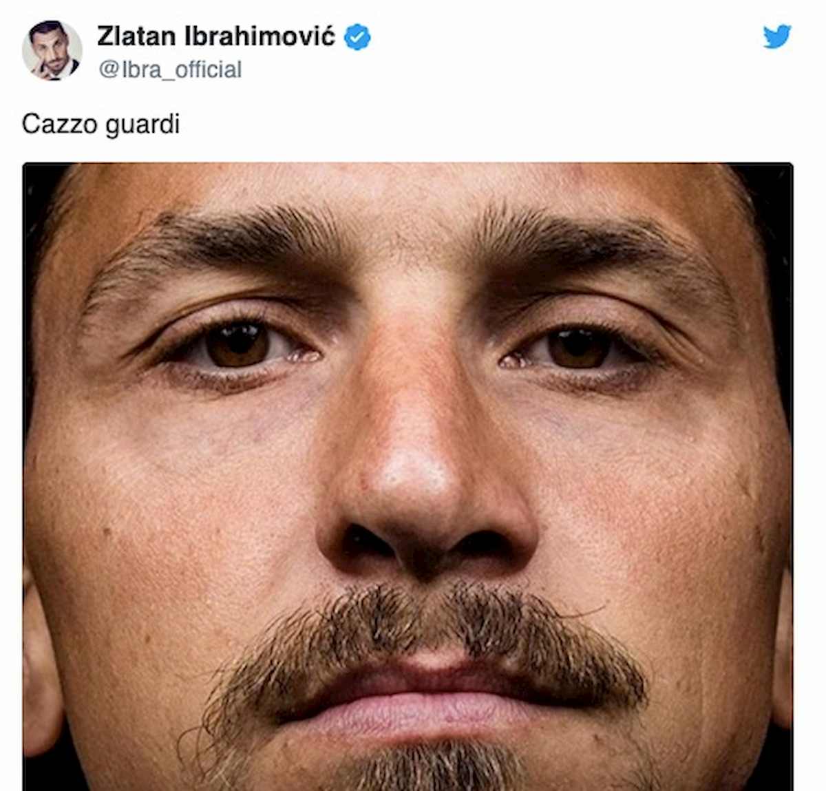 Milan, Ibrahimovic scrive su Instagram: "Ca... guardi". Quel precedente del 2012...