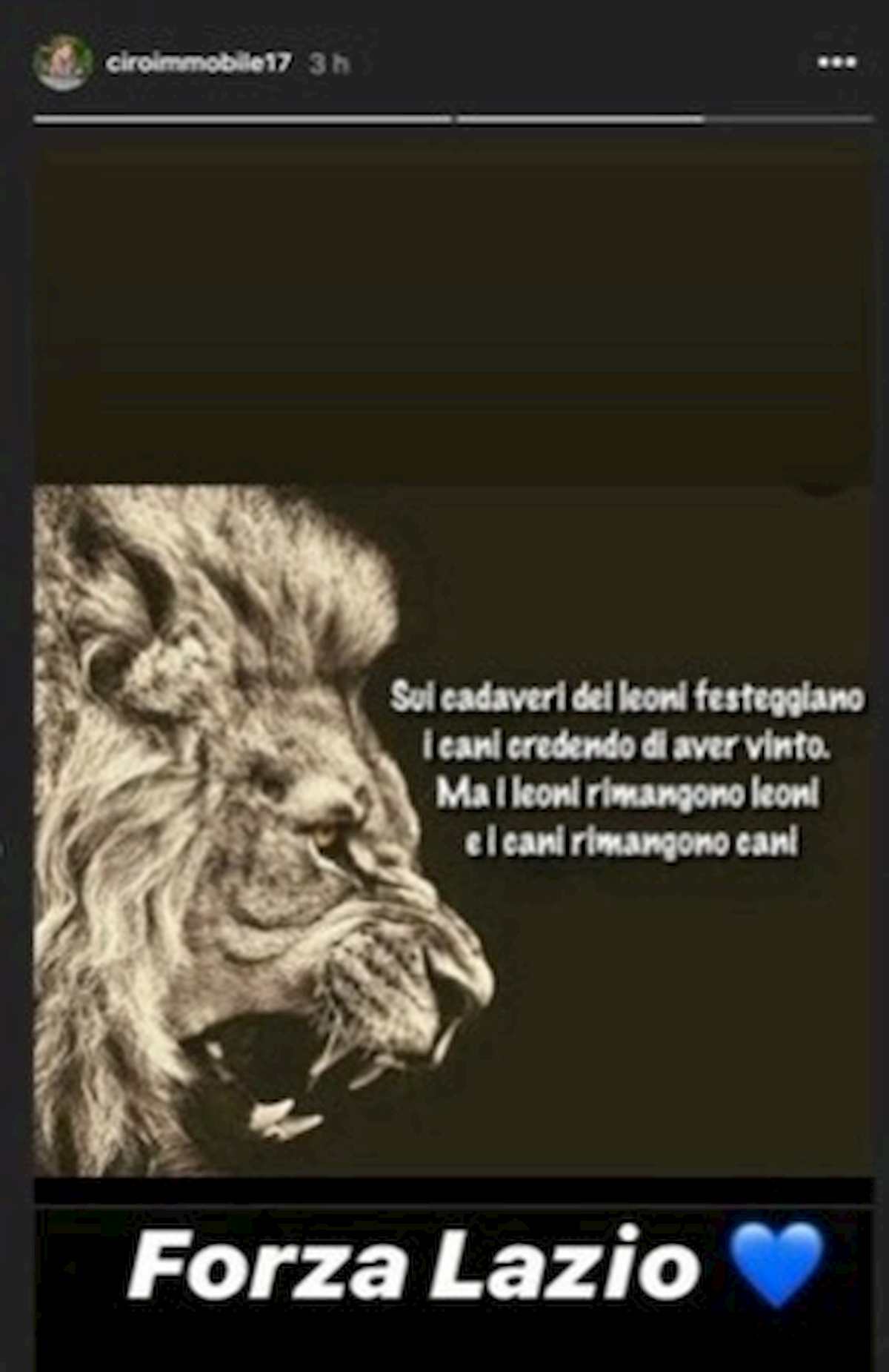Lazio, Immobile si sfoga su Instagram: "Sui cadaveri dei leoni festeggiano i cani"