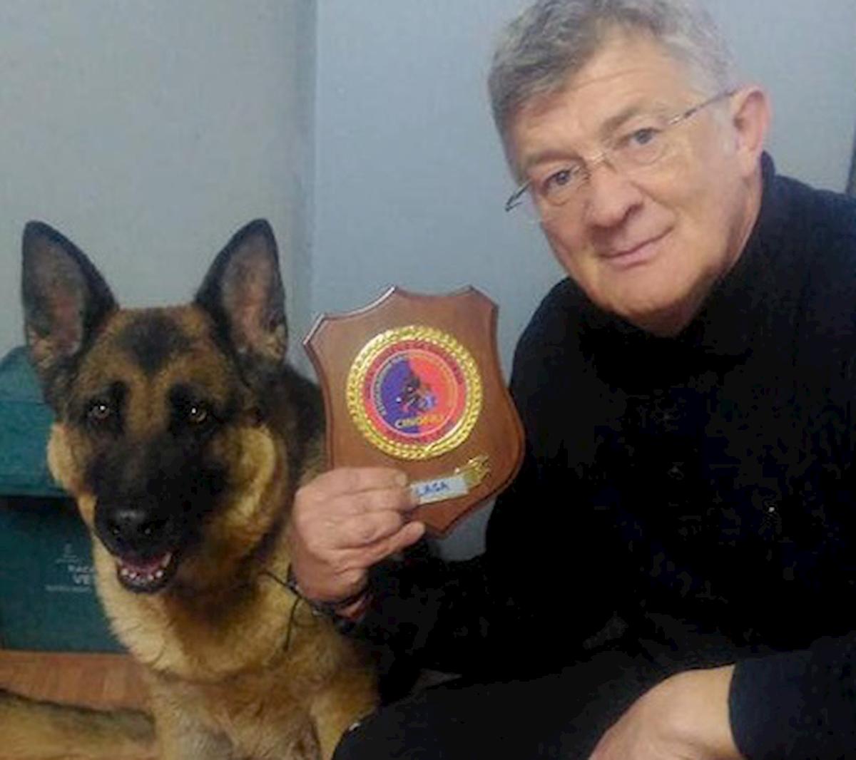 Terremoto Amatrice: addio a Laga, il cane eroe che scavò tra le macerie