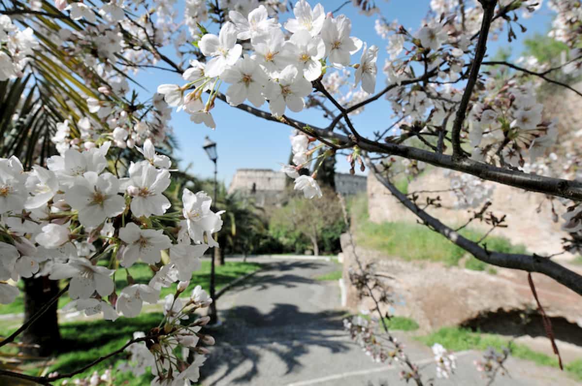 Meteo, nei tre giorni della merla temperature quasi primaverili
