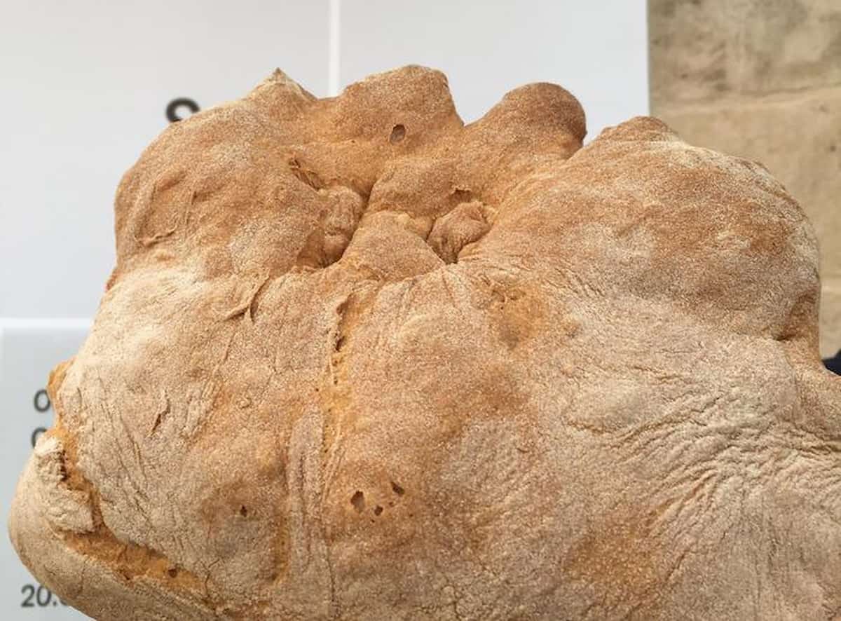 Pane, il migliore d'Italia nel 2019 a Matera. Il Gambero Rosso incorona il forno Perrone