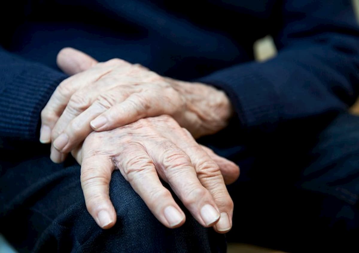 Parkinson, un probiotico potrebbe bloccare la malattia