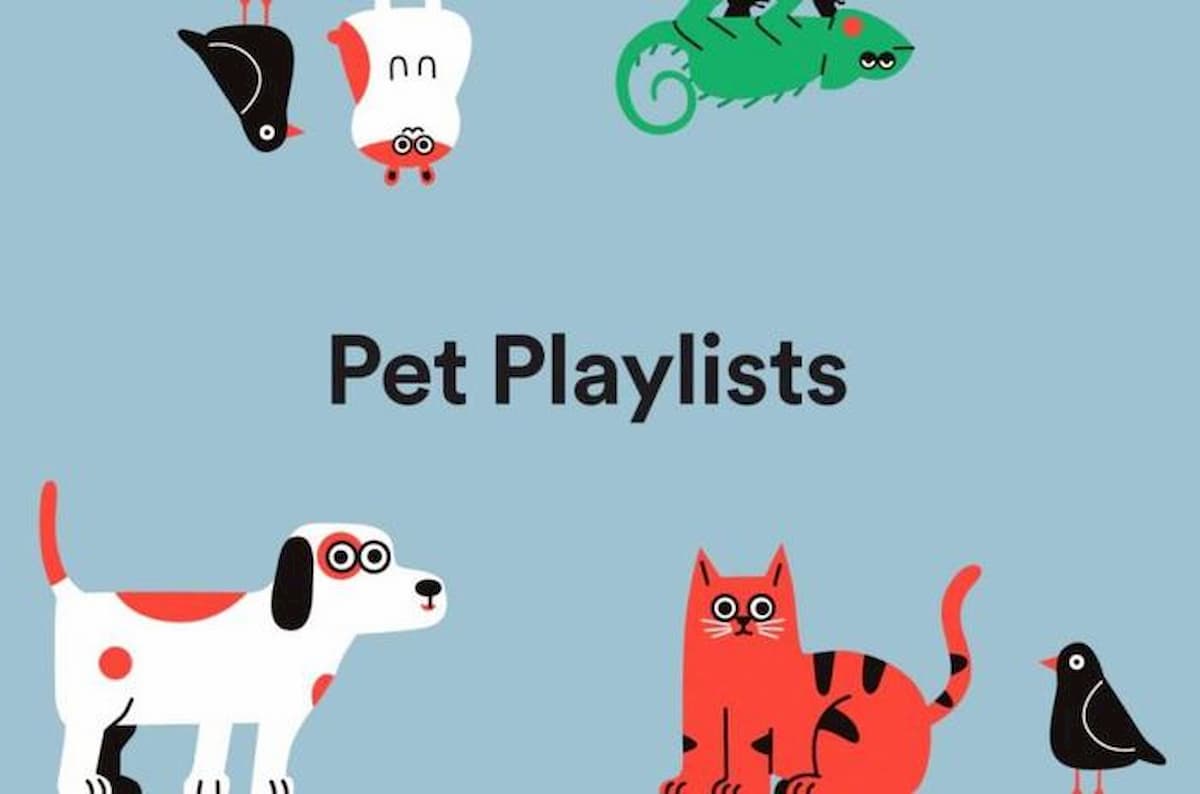 Musica da cani... e da gatti. La playlist di Spotify dedicata ai nostri amici (iguane e criceti compresi)