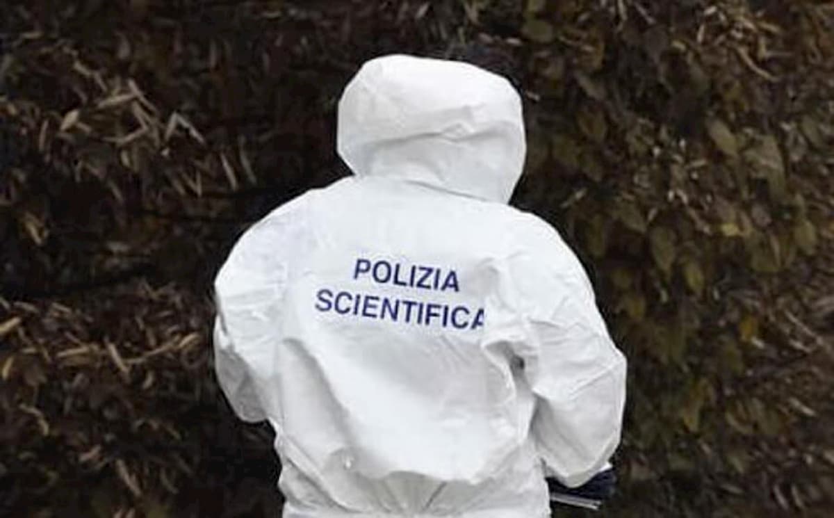 Riccione, uccide la nonna per una brioche: gli aveva negato 1 euro