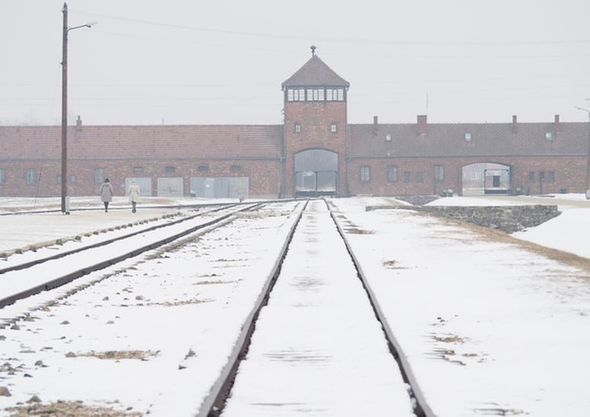 "Shoah mai esistita. Antisemitismo? Il vero problema sono i migranti": così gli italiani secondo Eurispes