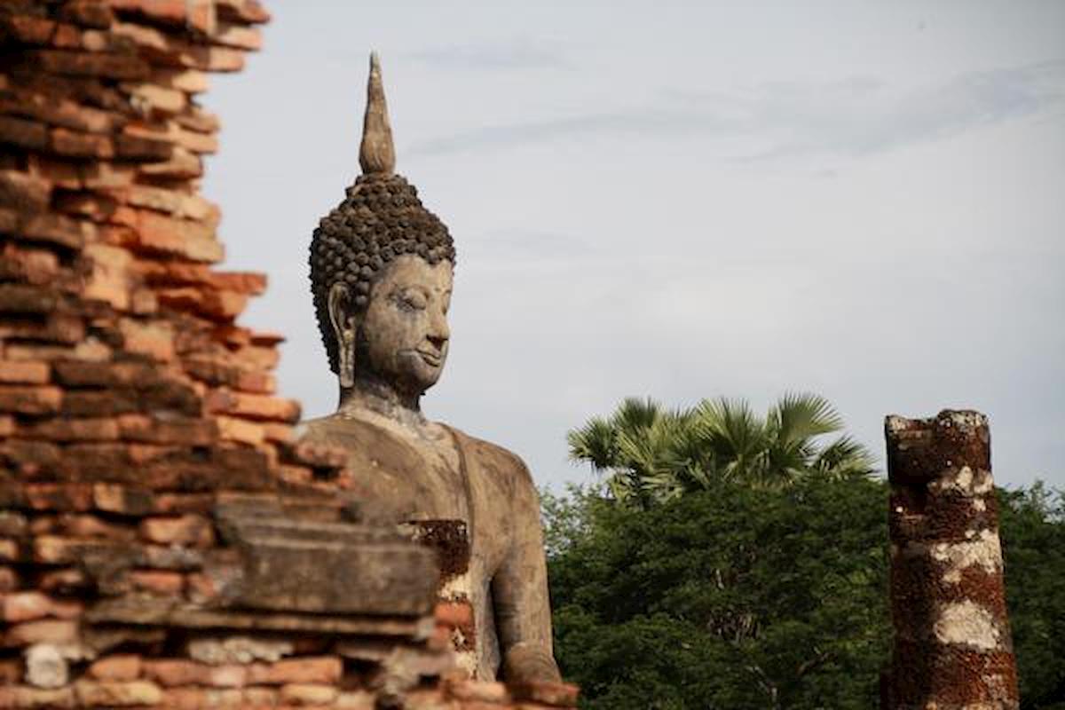 Treviso, torna dalla Thailandia e scopre di aver contratto una rara infezione da gonococco