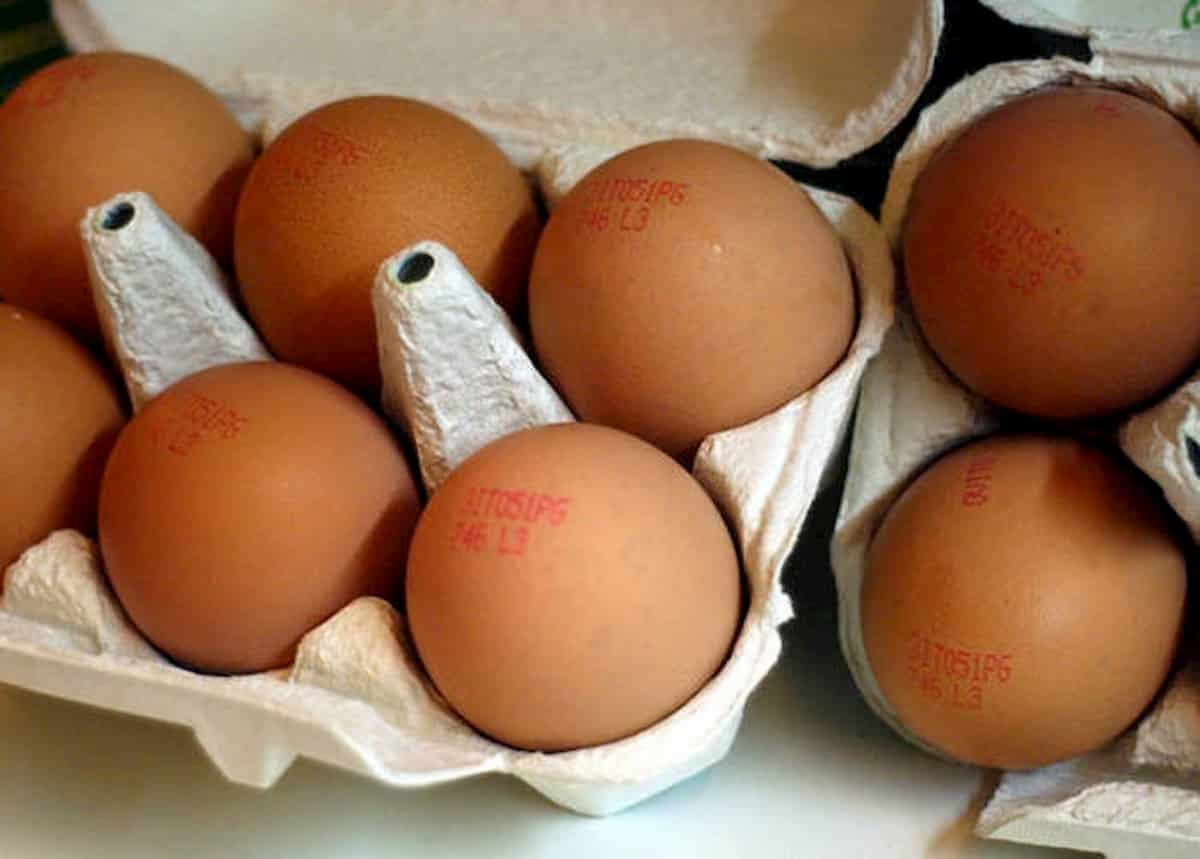 Uova e salmonella, psicosi lotti ritirati dal ministero della Salute. La risposta di Google