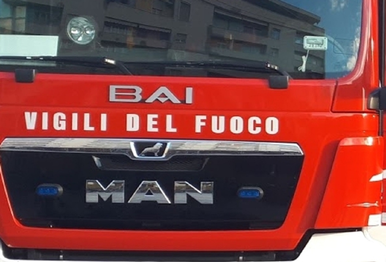I Vigili del Fuoco, Ansa