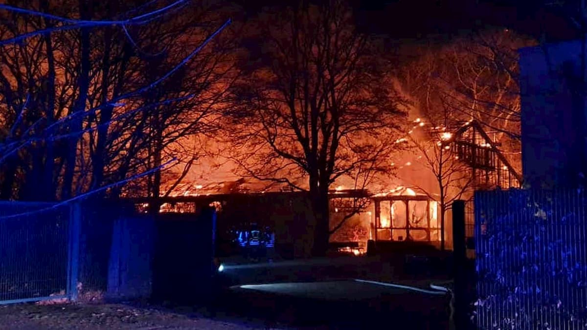 Germania, incendio nello zoo di Krefeld: almeno trenta scimmie morte