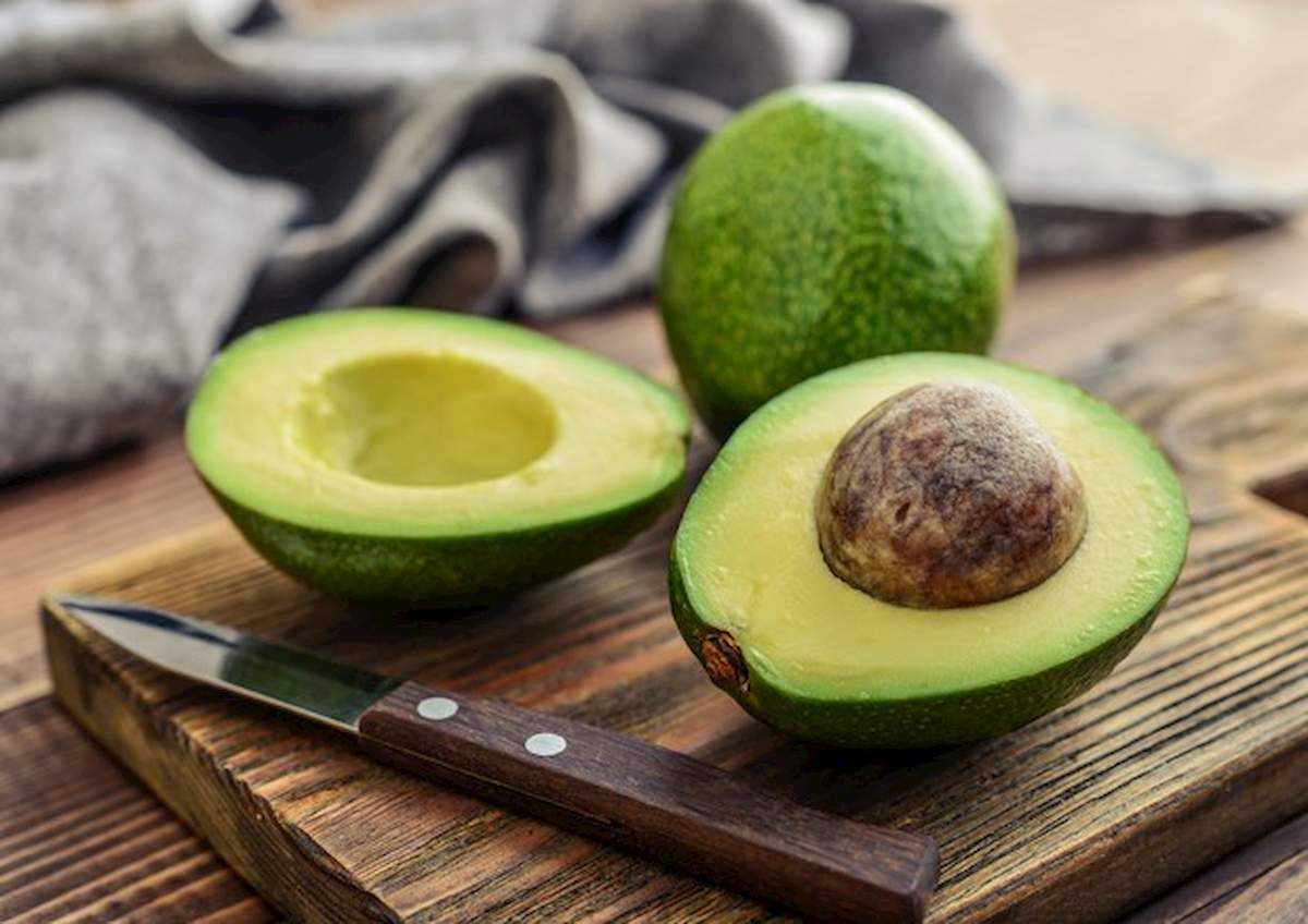 avocado foto ansa