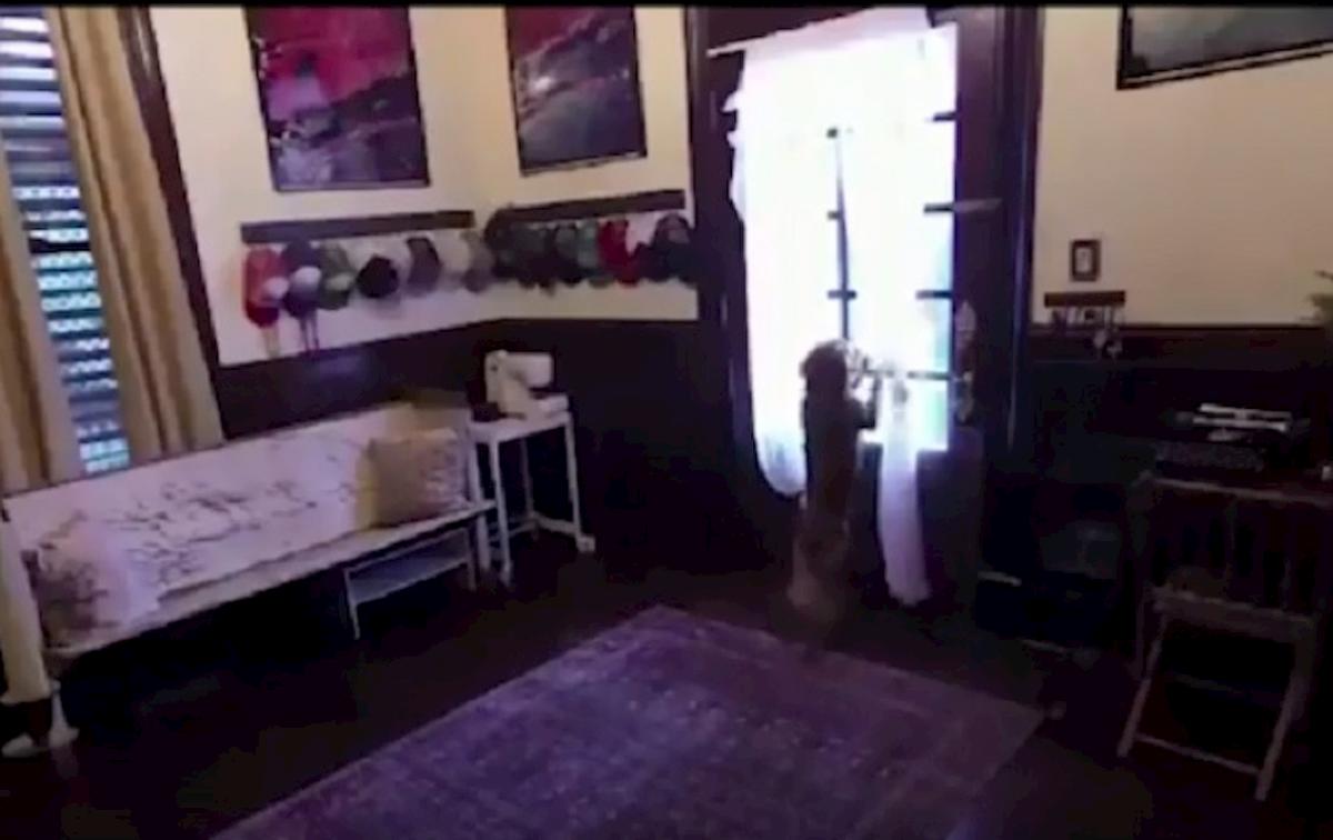 astronauta iss torna a casa