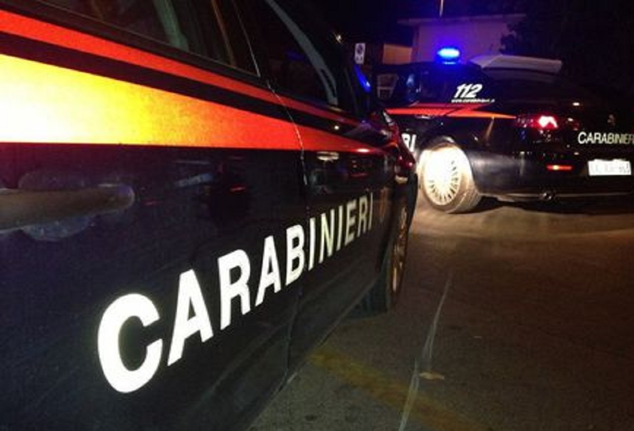 Carabinieri, Ansa