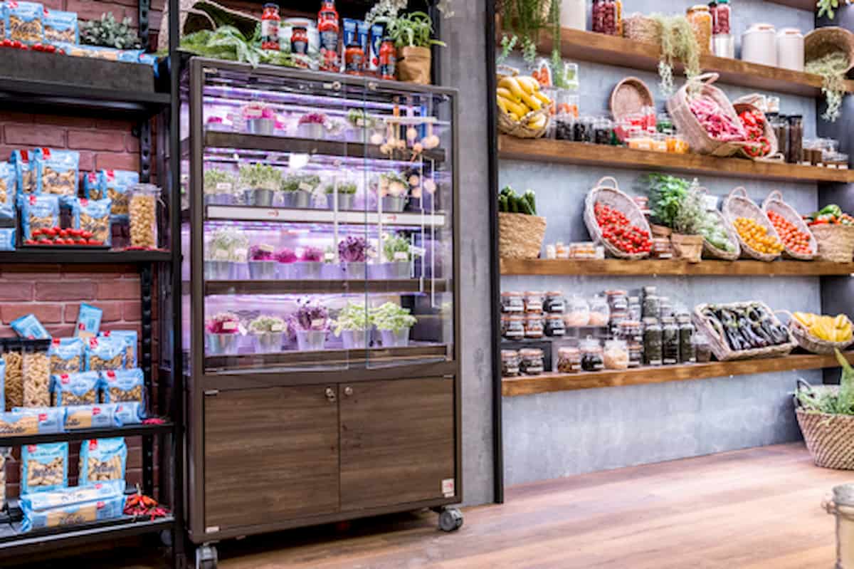 Micro-ortaggi per supermercati e ristoranti nelle vetrine di Cefla