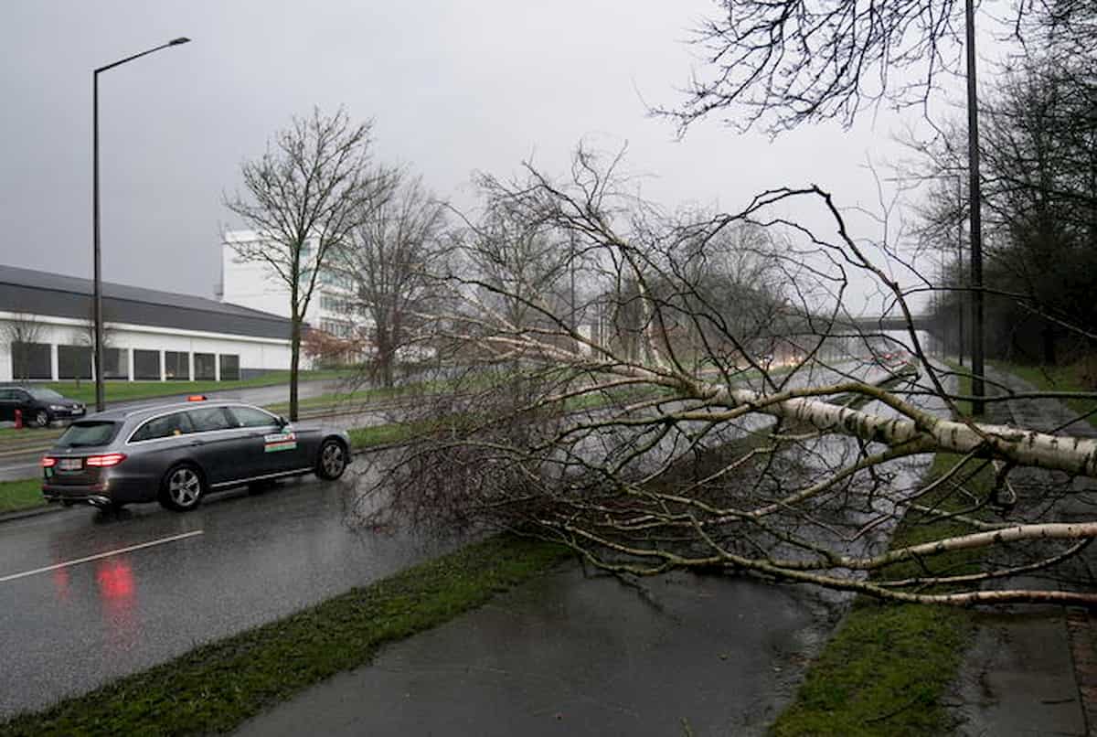 Tempesta Ciara arriva in Italia: raffiche di vento a 100 Km/h in Sardegna e regioni del Centro