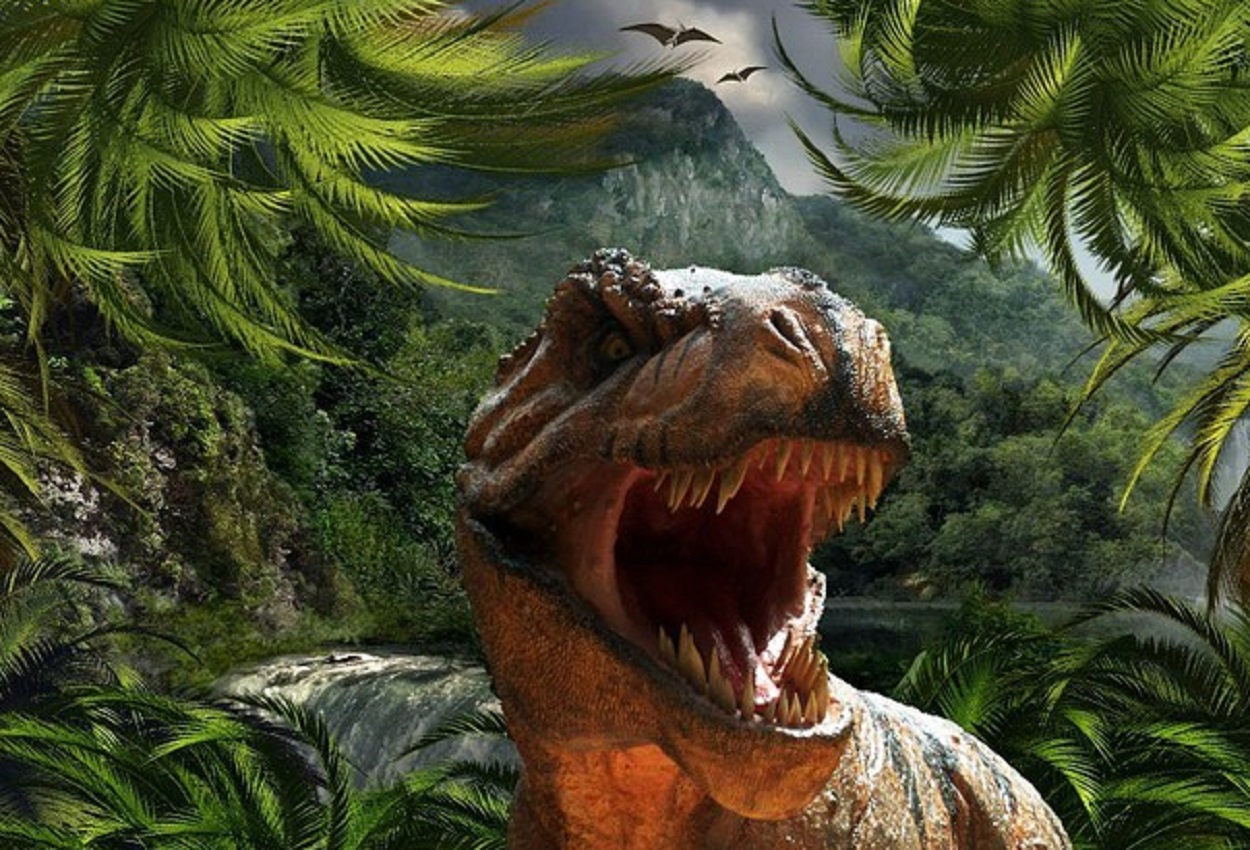 Principe Harry, Ansa