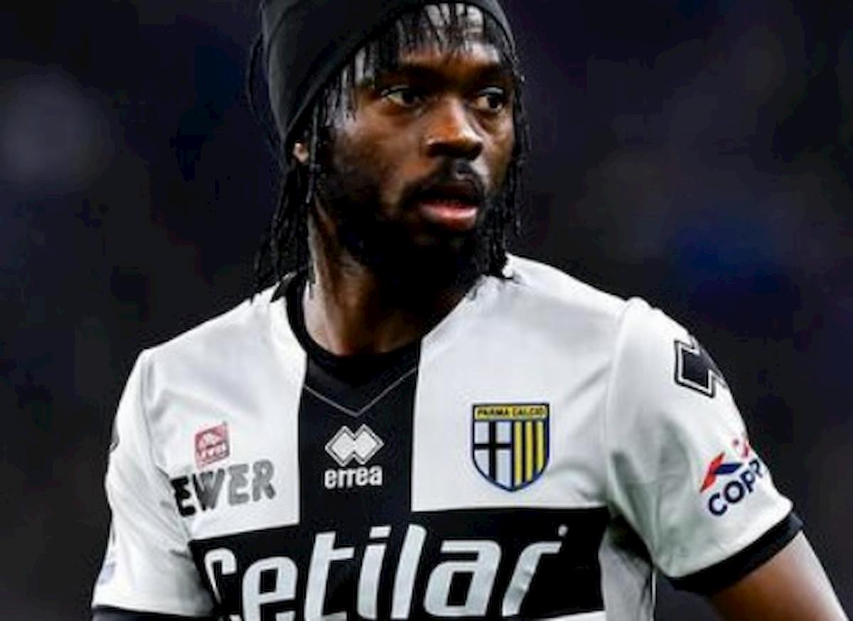 Parma, Gervinho non è più un caso: è stato multato e reintegrato nel gruppo