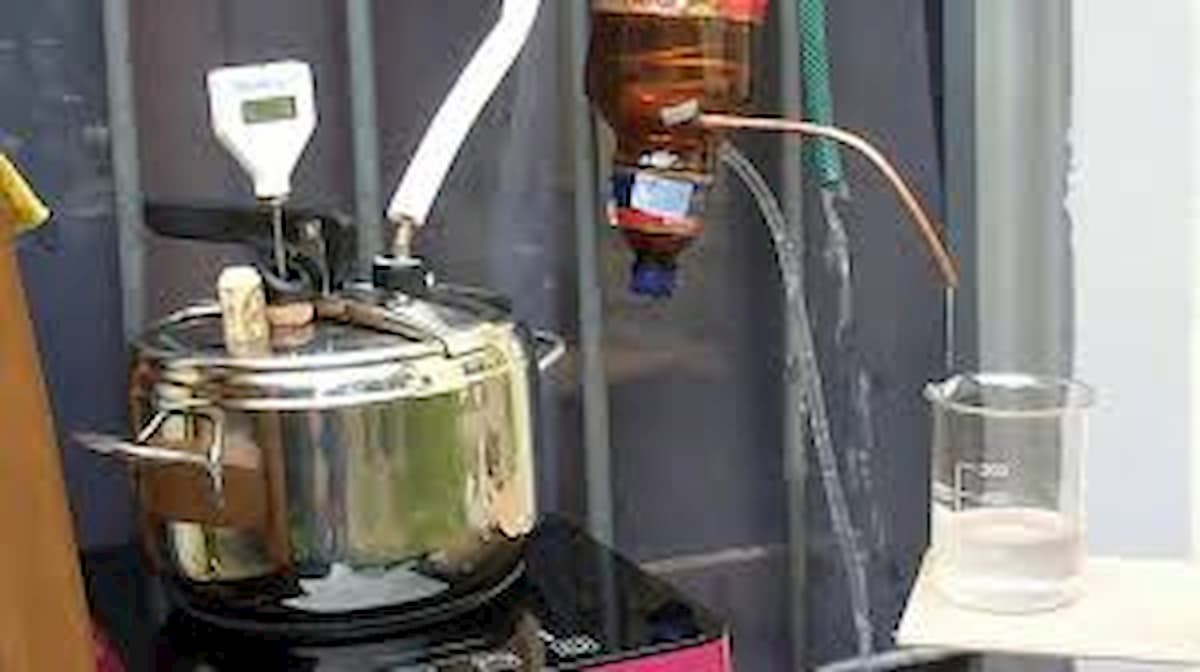 Grappa fai da te, "liberalizzatela": la battaglia della Lega per depenalizzare le produzioni domestiche