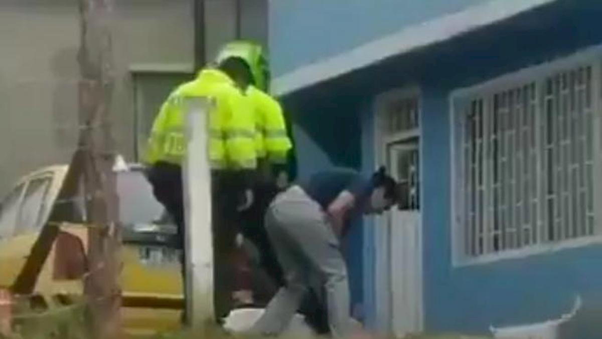 polizia colombia uccide cane pitbull