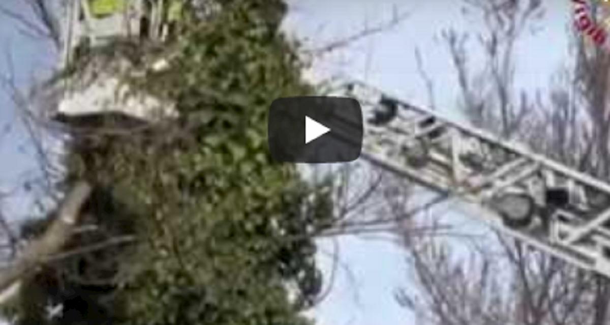 Tempesta Ciara sul Nord Italia