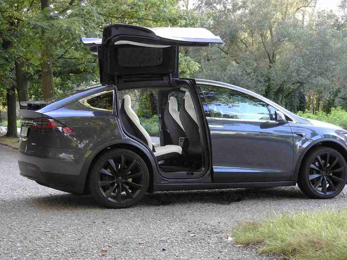 Gb, quercia cade su due Tesla: 2 famiglie salve grazie alla frenata automatica
